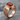 Crossed Keys Carnelian Tracery Ring, rose gold, studio product photo
