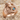 Capricorn Curling Sea Goat Ring, rose gold finish, studio product photo