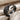 Acanthus Beak Open Ring, black rhodium finish