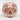 Scroll skull ring, rose gold plated, angled three-quarter view