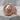 Laurel Lion Pinky Ring, rose gold plated silver, product photo
