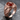 Carnelian Koi Current Ring in rose gold, angled product photo