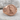 Sigma Lone Wolf Ring, rose gold, front view on stone surface