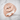 Compass Rose Signet Ring, rose gold, angled product photo