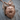 Roaring Grizzly Bear Pendant, rose gold, front view on wood block