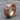 Aztec Glyph Relief Ring, rose gold, angled product photo