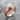 Star of David Moonstone Ring, rose gold, studio product photo