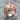 Viking Shield Crossbar Ring in rose gold plated finish product view