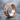 Gothic Lancet Spinner Ring, rose gold, product photo