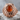 Carnelian Scallop Crest Ring in rose gold plated silver, front view