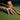 Square and Compasses Signet Ring worn on model, hand on pool table