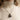 Model wearing oxidized silver skeleton holding sleeping cat necklace on dark chain over a beige turtleneck sweater