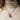 Model wearing the oxidized silver mossy skull mushroom necklace on a chain against cream turtleneck sweater