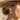 Mountain Sunrise Ridge Earring in gold vermeil, worn on model ear