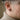 Rope Cross Stud Earring, oxidized, worn on model ear