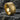 Gold variation of the tire tread ring displaying detailed mechanical edges and textured center