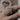 Model wearing the gothic-style evil eye hand ring, covering his face to highlight the mystic jewelry design.