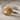 Scallop Seashell Ring, close-up of shell relief details