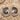 Nautilus Chamber Drop Earring, two-tone, product view