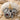Garnet Pomegranate Pair Pendant, two-tone finish product photo