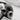 Ram Skull Double Curl Ring, oxidized silver, close-up of skull and horn detail