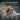 Tiger Eye Shell Volute Ring, size chart