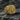 Gold variation of the crusader knight signet ring displaying the detailed Jerusalem cross and warrior design