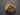 Gold vermeil motorcycle ring featuring bike front wings and chain band design on dark background