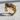 Snake Skull Rose Ring, gold vermeil, angled product photo showing skull and serpent scales