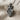 King lion crown pendant, oxidized silver, angled side view on fabric