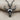 Buffalo Skull Pendant, black rhodium plated, front view
