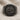 Caesar elephant coin ring, black rhodium finish, front view on fabric
