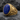 Lapis Anchor Ring in gold vermeil, side angle on stone slab