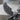Spread Wing Eagle Pendant, oxidized, close-up of wing feathers