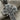 Russian Orthodox Cross Pendant, oxidized silver, close-up of Cyrillic lettering