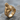 Transi Effigy Ring, gold vermeil finish, angled view resting on stone surface