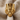 Nefertiti Bust Ring, gold vermeil, front view on fabric