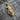 Eagle and Wolf Pendant, gold vermeil, three-quarter view