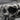 Jawless Skull Band Ring, oxidized silver, close-up of skull face and textured band