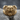 Snarling Bear Ring, gold vermeil, front view on stone