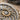 Nautilus Chamber Spiral Pendant, oxidized finish, close-up of shell chambers