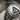 Sailing ship intaglio ring, oxidized silver, close-up showing recessed sailboat and rope border