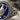 Amphora Cobalt Coin Ring, oxidized finish, close-up view