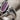 Plum Split Talon Ring, oxidized silver, close-up of talon and enamel detail