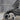 Mermaid Tail Wave Earring, oxidized silver, close-up of scales and fin