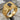 Greek Meander Onyx Crest Ring in gold vermeil, front three-quarter view