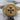 Maltese Cross Rope Ring, gold vermeil, angled view