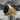 Onyx Byzantine Eagle Ring, gold vermeil, angled product photo