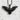 Landing Eagle Pendant, black rhodium, front view on textured stone