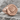 Stag Signet Ring, rose gold, angled front view on rock surface